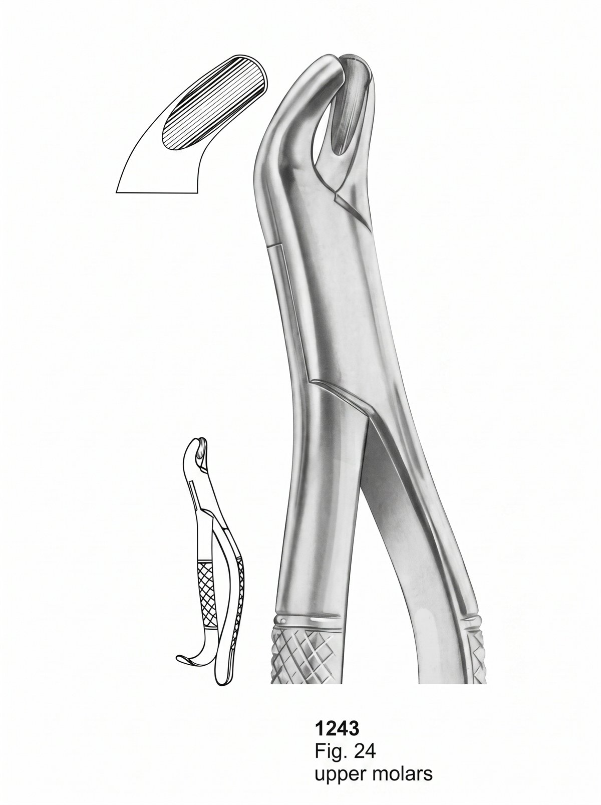 Sirgikal Extracting forceps American Pattern