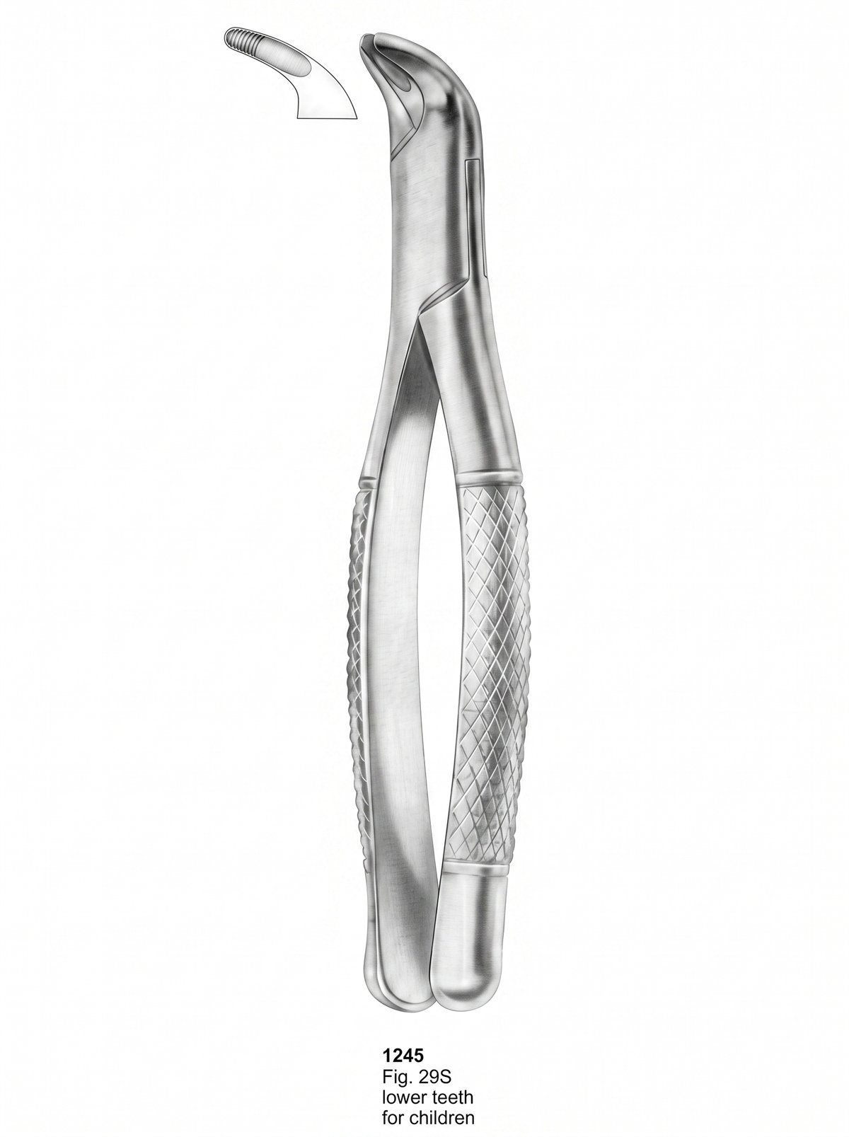 Sirgikal Extracting forceps American Pattern