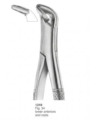 Sirgikal Extracting forceps American Pattern