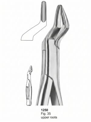 Sirgikal Extracting forceps American Pattern