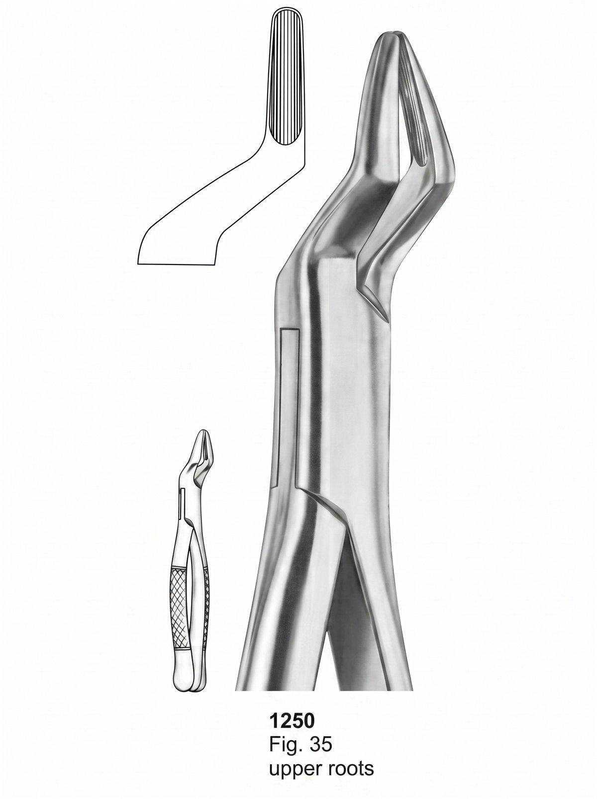 Sirgikal Extracting forceps American Pattern