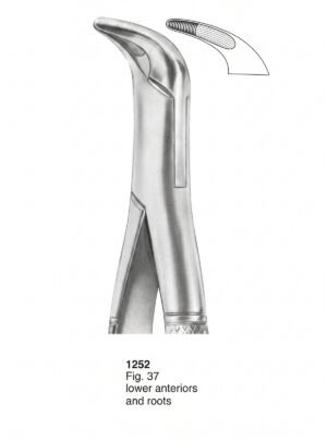 Sirgikal Extracting forceps American Pattern
