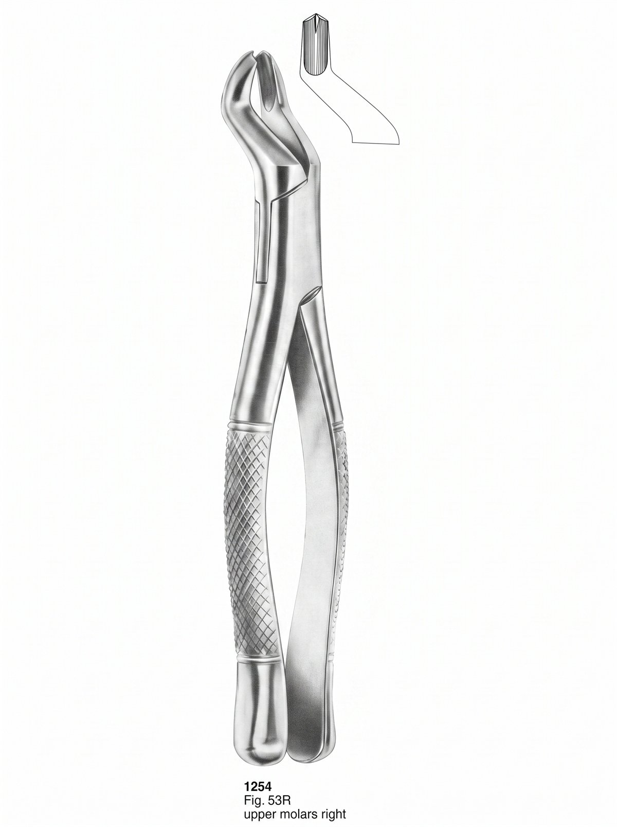 Sirgikal Extracting forceps American Pattern
