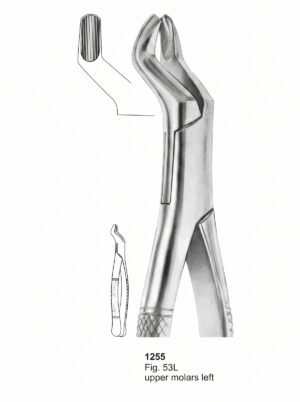 Sirgikal Extracting forceps American Pattern