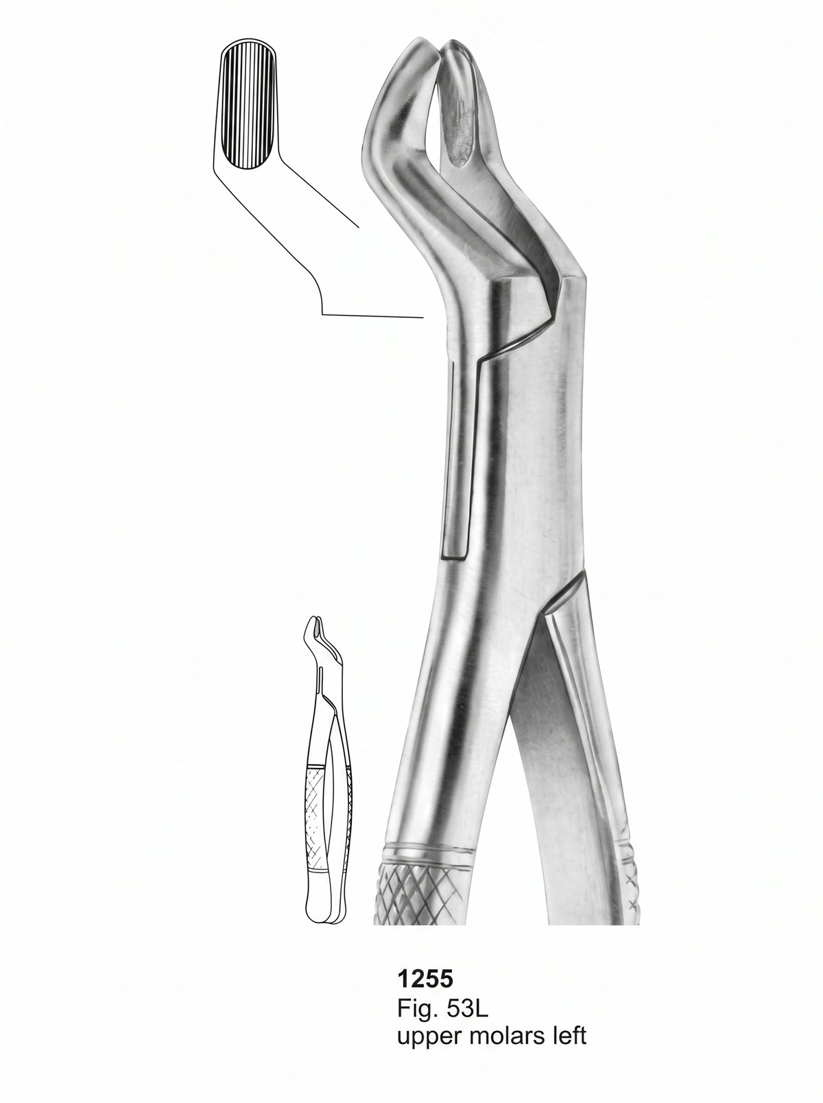 Sirgikal Extracting forceps American Pattern