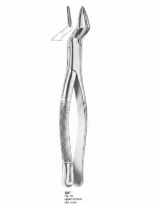 Sirgikal Extracting forceps American Pattern
