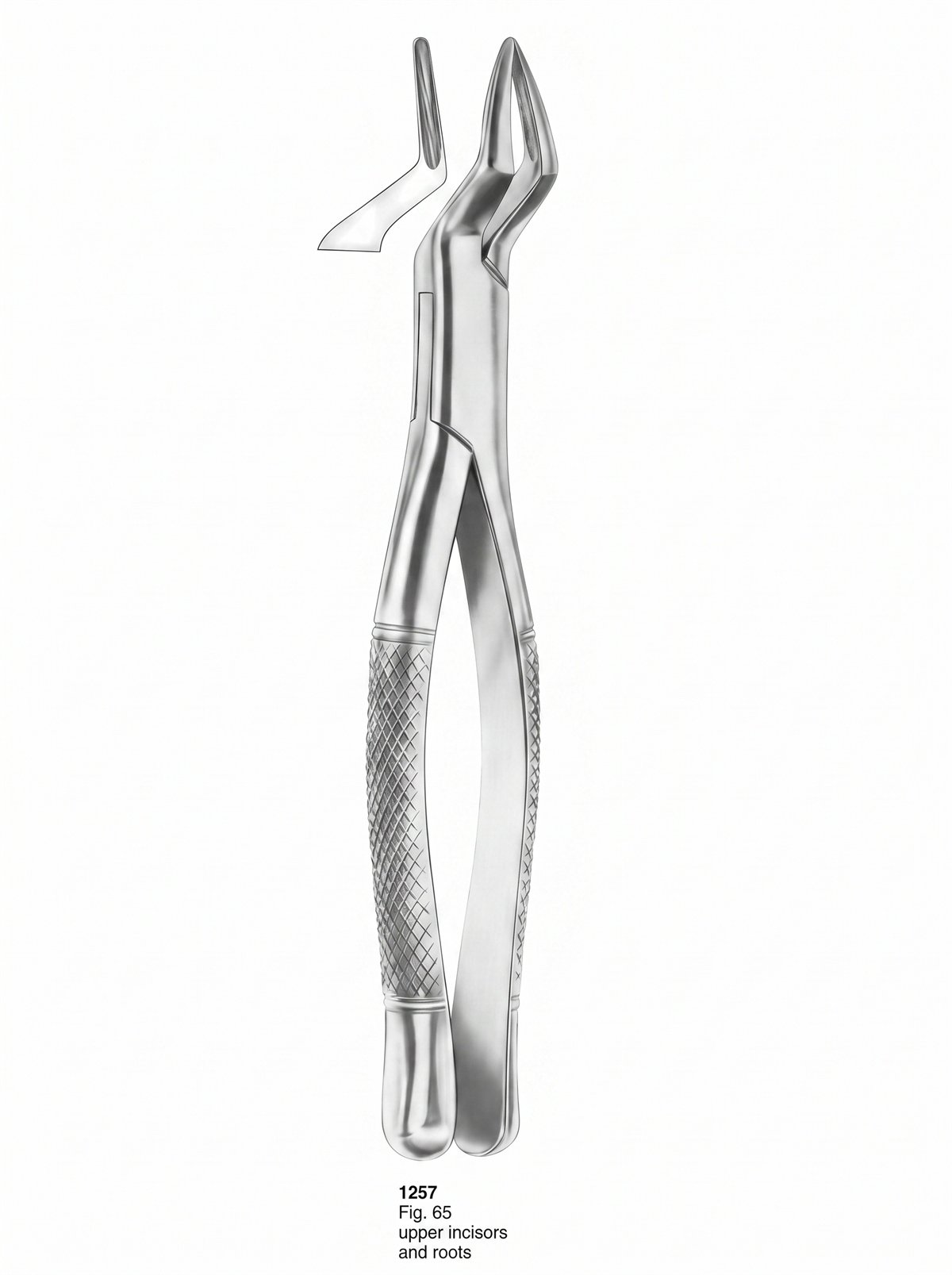 Sirgikal Extracting forceps American Pattern
