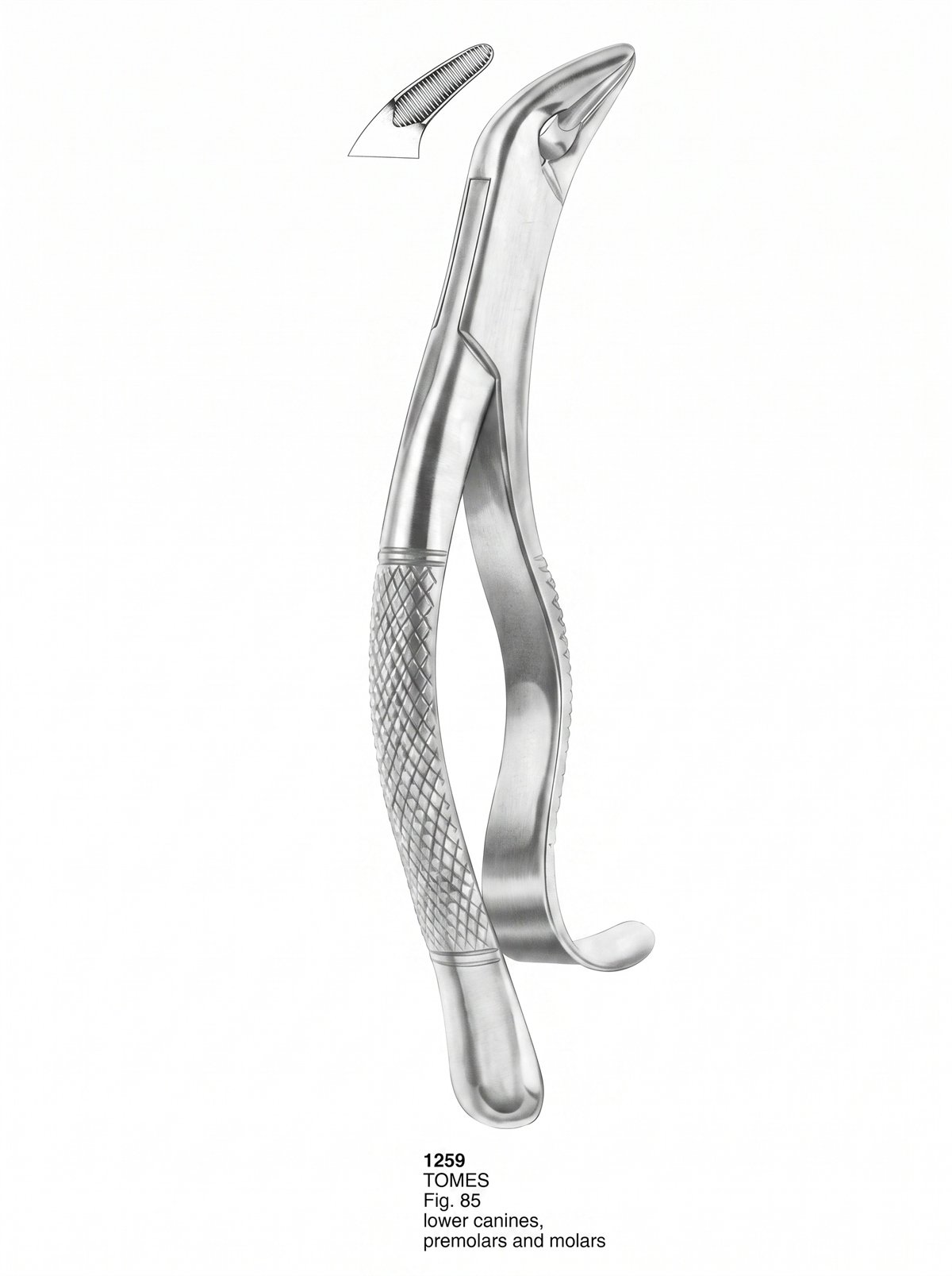 Sirgikal Extracting forceps American Pattern