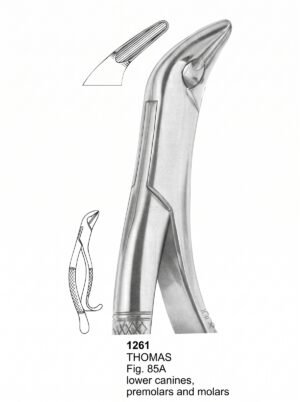 Sirgikal Extracting forceps American Pattern