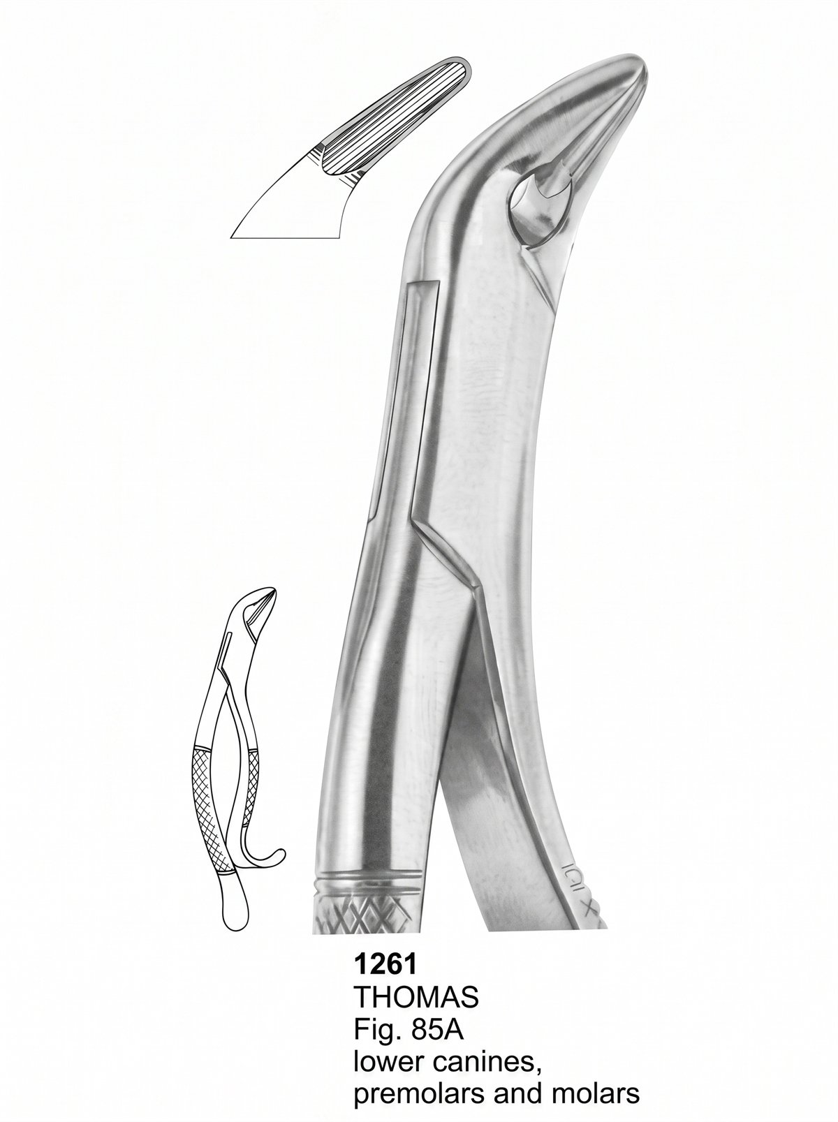 Sirgikal Extracting forceps American Pattern