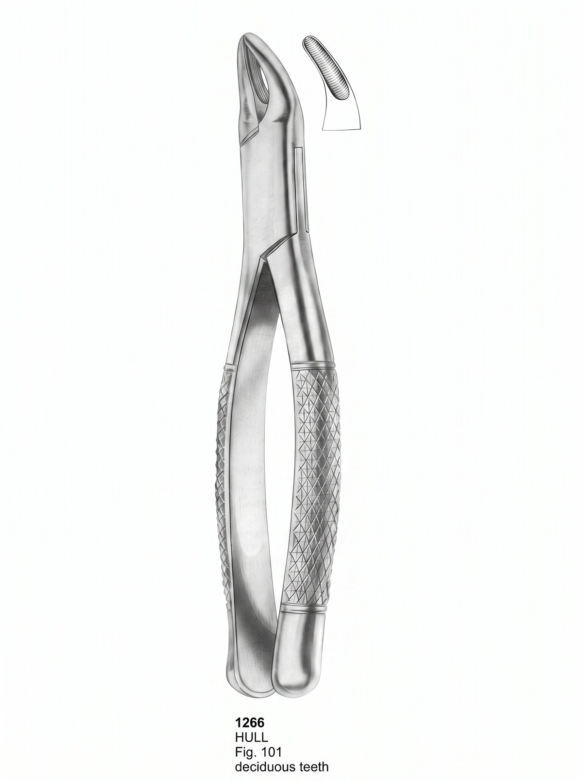 Sirgikal Extracting forceps American Pattern