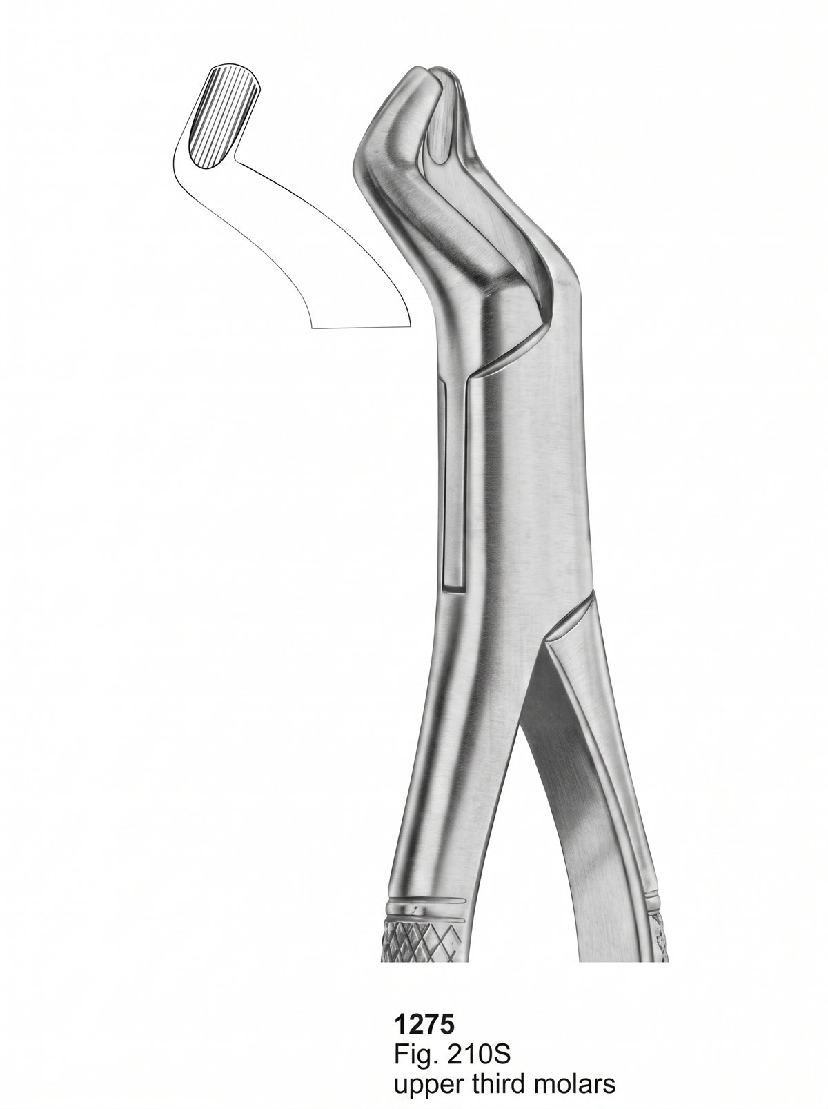 Sirgikal Extracting forceps American Pattern