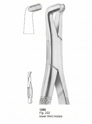 Sirgikal Extracting forceps American Pattern