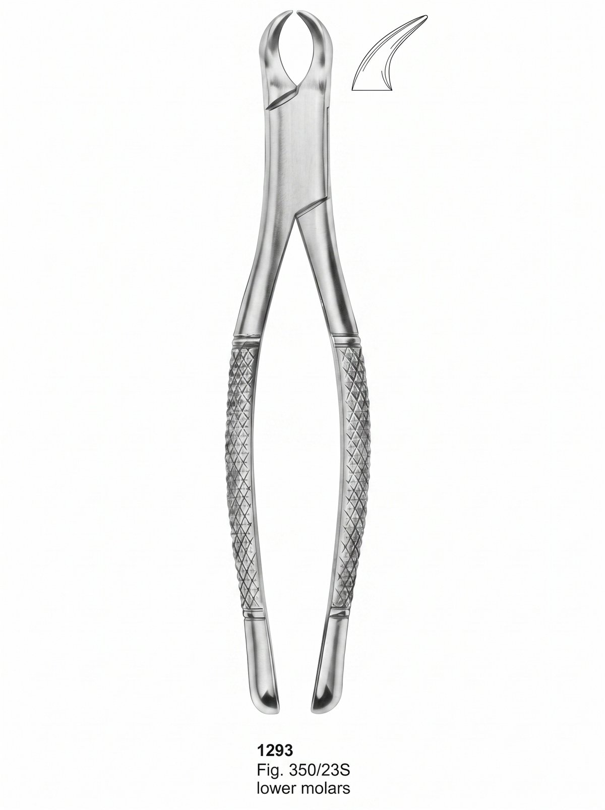 Sirgikal Extracting forceps American Pattern