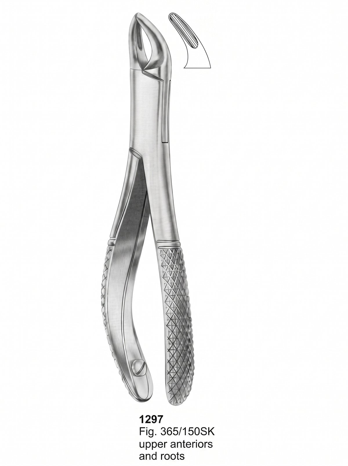Sirgikal Extracting forceps American Pattern