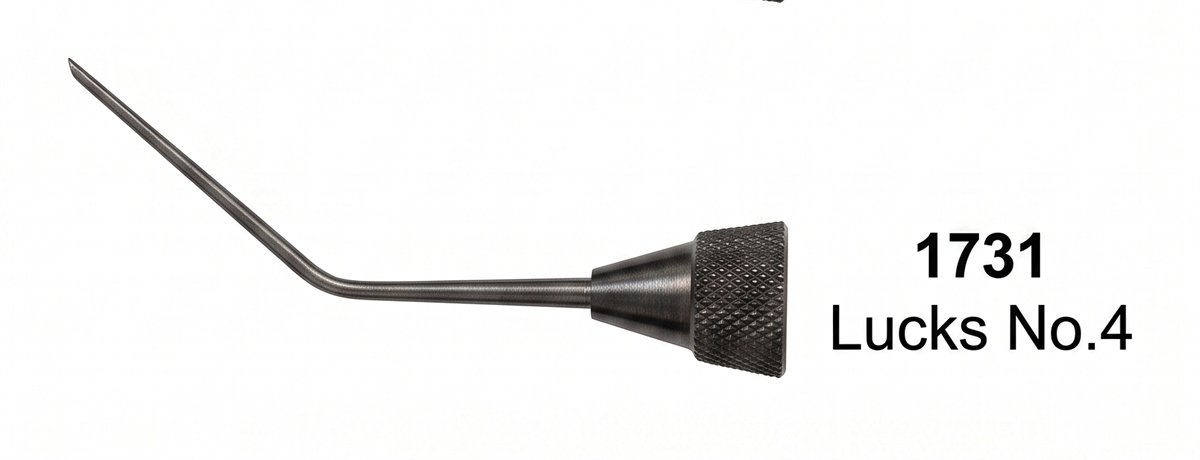 Sirgikal Obturation Instruments